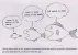 scan0008.webp