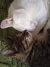 IMG_20250620_164256.webp