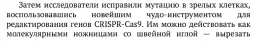 1751189451144.webp