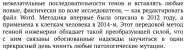 1751189471589.webp