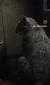 1000147962.webp