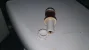 scale_2400.webp