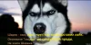 1000152081.webp