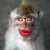1000152312.webp