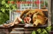 1000152315.webp