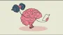 1000154766.webp
