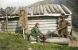1000158953.webp