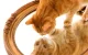 1000158937.webp