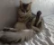 1000158956.webp