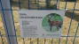 1000159575.webp