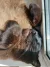 1000160513.webp