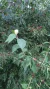 1000163781.webp