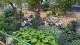 1000163782.webp