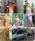 547182629_1220808593422155_5078880048491066611_n.webp