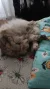 IMG-20250925-WA0002.webp