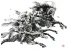 15498.webp