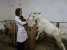 16649.webp 16649.webp