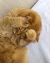 1000019808.webp