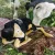 1000002655.webp