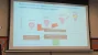17877.webp