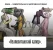 Screenshot 2026-06-05 194315.webp