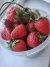 18169.webp