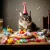 1000112571.webp