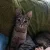 1000002873.webp