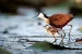 7mvbcdok_lg.webp