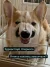 1000021848.webp