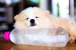 20507.webp
