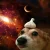 1786554354179.webp