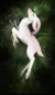 Screenshot_20260820_004304_com_zhiliaoapp_musically_MainActivity.webp