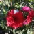 1000003197 (1).webp