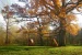 1000114987.webp