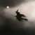 23961.webp