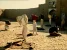 1000051797.webp