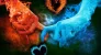 1000122513.webp