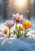 1000125636.webp