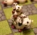 chess1.webp