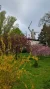 1000133143.webp