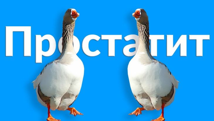 17 упражнений при простатите для мужчин
